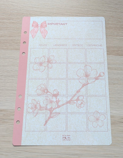 Collection Sakura 🌸 - Budget planner A5